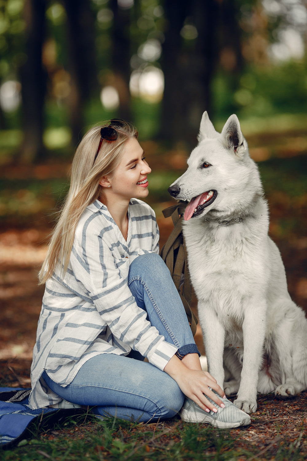 PETS